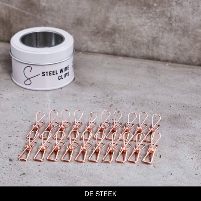 Steel Wire Clips - Rose gold